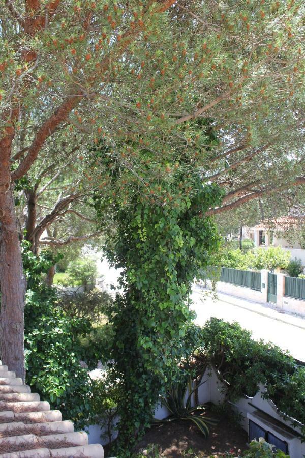Casa 19 Apartment Albufeira Exterior photo
